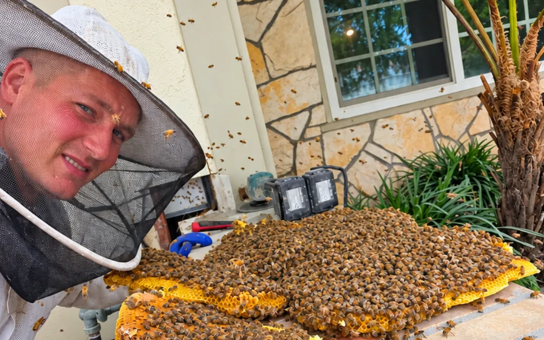 Eli in his bee suit with comb removed on a patio in Alta Loma