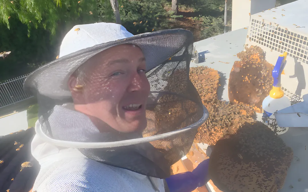 Eli in his bee suit holding a large comb in Rowland Heights