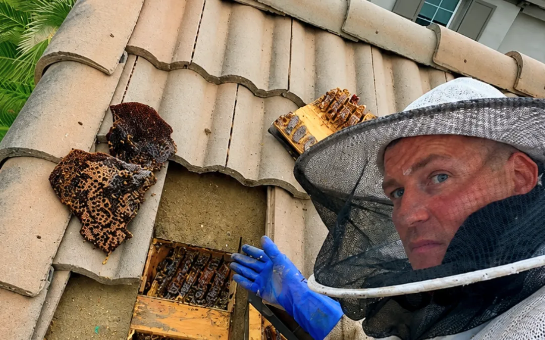 Eli on a tile roof during a removal in Fontana