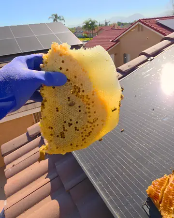 Comb from a roof with solar panels in Rialto, CA