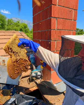 Comb next to a chimney in Upland, CA