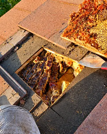 Comb under shingle roofing in Rancho Cucamonga, CA