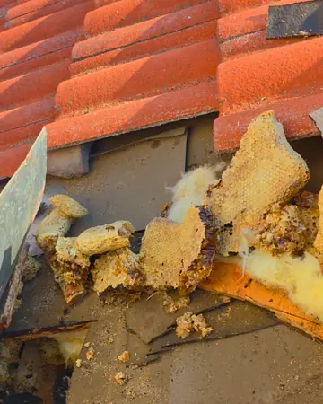 Comb under tile roofing in Fontana, CA