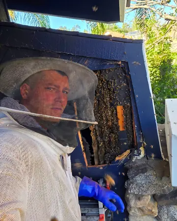 Eli at a chimney hive in Rancho Cucamonga, CA