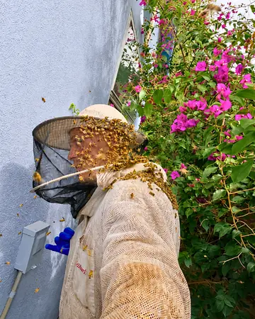Eli in a cloud of bees in Lake View Terrace, CA
