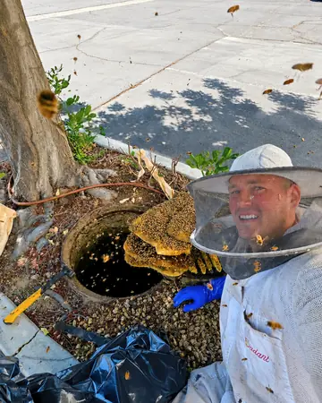 Eli with a hive from a parking-lot box in Ontario, CA