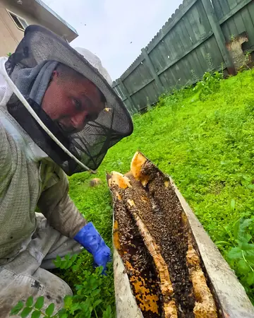 Eli with comb from a ground-level box in San Fernando, CA