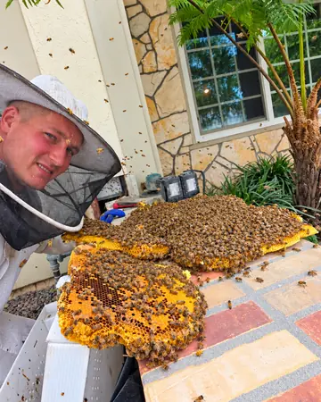 Eli with comb on a porch in Alta Loma, CA