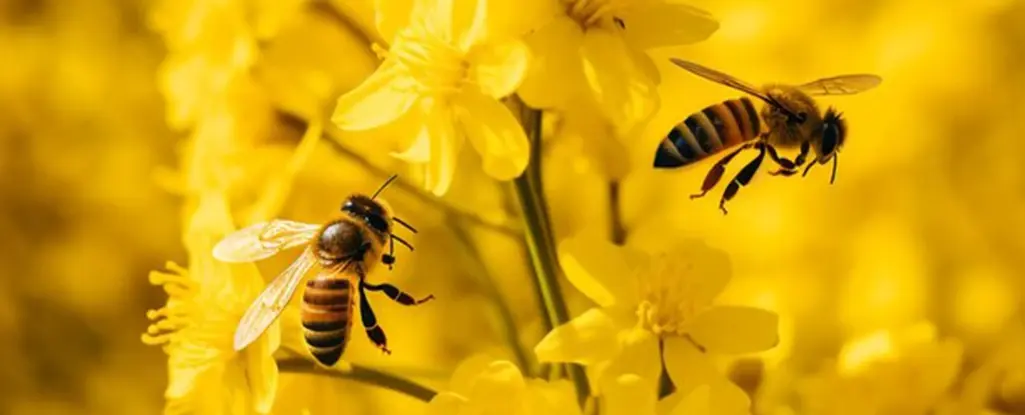 What nutrients are in Nectar?