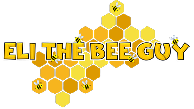 What is the Function of a Beehive? - Eli the Bee Guy